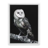 Shop Owl Canvas Art Print-Animals, Birds, Black, Portrait, Scandinavian, View All-framed wall decor artwork