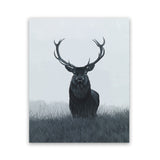 Shop Elk Art Print-Animals, Black, Grey, Hamptons, Portrait, Scandinavian, View All-framed painted poster wall decor artwork