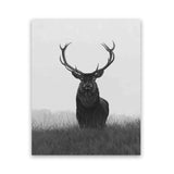 Shop Black & White Elk Art Print-Animals, Black, Grey, Hamptons, Portrait, Scandinavian, View All, White-framed painted poster wall decor artwork