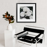 Shop White English Roses (Square) Art Print-Botanicals, Florals, Hamptons, Square, View All, White-framed painted poster wall decor artwork