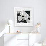 Shop White English Roses (Square) Art Print-Botanicals, Florals, Hamptons, Square, View All, White-framed painted poster wall decor artwork