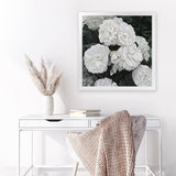 Shop White English Roses (Square) Art Print-Botanicals, Florals, Hamptons, Square, View All, White-framed painted poster wall decor artwork