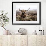 Shop Highland Cow I Photo Art Print-Animals, Brown, Green, Landscape, Photography, Scandinavian, View All-framed poster wall decor artwork