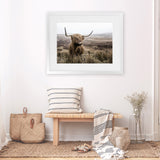 Shop Highland Cow I Photo Art Print-Animals, Brown, Green, Landscape, Photography, Scandinavian, View All-framed poster wall decor artwork
