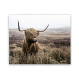 Shop Highland Cow I Photo Art Print-Animals, Brown, Green, Landscape, Photography, Scandinavian, View All-framed poster wall decor artwork