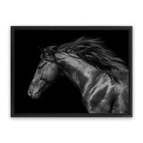 Shop Black Horse Photo Canvas Art Print-Animals, Black, Landscape, Photography, Photography Canvas Prints, View All-framed wall decor artwork
