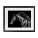 Shop Black Horse Photo Art Print-Animals, Black, Horizontal, Landscape, Photography, Rectangle, View All-framed poster wall decor artwork