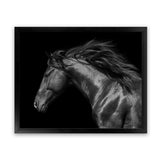 Shop Black Horse Photo Art Print-Animals, Black, Horizontal, Landscape, Photography, Rectangle, View All-framed poster wall decor artwork