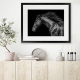 Shop Black Horse Photo Art Print-Animals, Black, Horizontal, Landscape, Photography, Rectangle, View All-framed poster wall decor artwork