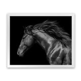 Shop Black Horse Photo Art Print-Animals, Black, Horizontal, Landscape, Photography, Rectangle, View All-framed poster wall decor artwork