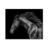 Shop Black Horse Photo Art Print-Animals, Black, Horizontal, Landscape, Photography, Rectangle, View All-framed poster wall decor artwork