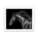 Shop Black Horse Photo Art Print-Animals, Black, Horizontal, Landscape, Photography, Rectangle, View All-framed poster wall decor artwork