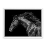 Shop Black Horse Photo Canvas Art Print-Animals, Black, Landscape, Photography, Photography Canvas Prints, View All-framed wall decor artwork