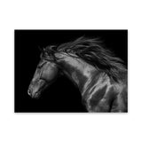 Shop Black Horse Photo Canvas Art Print-Animals, Black, Landscape, Photography, Photography Canvas Prints, View All-framed wall decor artwork