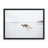 Shop Beach Kangaroo Photo Canvas Art Print-Animals, Baby Nursery, Coastal, Landscape, Neutrals, Photography, Photography Canvas Prints, View All-framed wall decor artwork