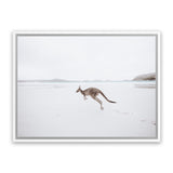 Shop Beach Kangaroo Photo Canvas Art Print-Animals, Baby Nursery, Coastal, Landscape, Neutrals, Photography, Photography Canvas Prints, View All-framed wall decor artwork