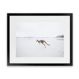 Shop Beach Kangaroo Photo Art Print-Animals, Baby Nursery, Coastal, Landscape, Neutrals, Photography, View All-framed poster wall decor artwork