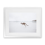 Shop Beach Kangaroo Photo Art Print-Animals, Baby Nursery, Coastal, Landscape, Neutrals, Photography, View All-framed poster wall decor artwork