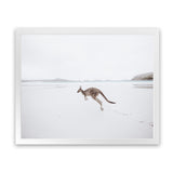 Shop Beach Kangaroo Photo Art Print-Animals, Baby Nursery, Coastal, Landscape, Neutrals, Photography, View All-framed poster wall decor artwork