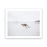 Shop Beach Kangaroo Photo Art Print-Animals, Baby Nursery, Coastal, Landscape, Neutrals, Photography, View All-framed poster wall decor artwork