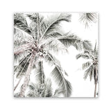 Shop Coconut Palms (Square) Photo Art Print-Boho, Coastal, Green, Hamptons, Photography, Square, Tropical, View All, White-framed poster wall decor artwork