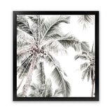 Shop Coconut Palms (Square) Photo Art Print-Boho, Coastal, Green, Hamptons, Photography, Square, Tropical, View All, White-framed poster wall decor artwork