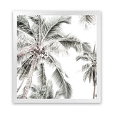 Shop Coconut Palms (Square) Photo Art Print-Boho, Coastal, Green, Hamptons, Photography, Square, Tropical, View All, White-framed poster wall decor artwork
