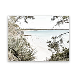 Shop Noosa Views Photo Canvas Art Print-Boho, Coastal, Green, Landscape, Photography, Photography Canvas Prints, Tropical, View All-framed wall decor artwork