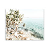 Shop Palm Tree Point Photo Art Print-Blue, Boho, Coastal, Green, Landscape, Photography, Tropical, View All-framed poster wall decor artwork