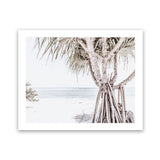 Shop Pandanus Palm Tree Photo Art Print-Boho, Botanicals, Coastal, Green, Landscape, Neutrals, Photography, Tropical, View All, White-framed poster wall decor artwork