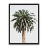 Shop Coconut Palm Tree Photo Canvas Art Print-Botanicals, Green, Neutrals, Photography Canvas Prints, Portrait, Tropical, View All-framed wall decor artwork