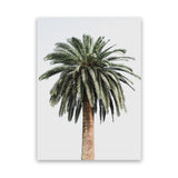 Shop Coconut Palm Tree Photo Canvas Art Print-Botanicals, Green, Neutrals, Photography Canvas Prints, Portrait, Tropical, View All-framed wall decor artwork