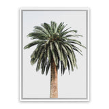 Shop Coconut Palm Tree Photo Canvas Art Print-Botanicals, Green, Neutrals, Photography Canvas Prints, Portrait, Tropical, View All-framed wall decor artwork