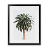 Shop Coconut Palm Tree Photo Art Print-Botanicals, Green, Neutrals, Photography, Portrait, Tropical, View All-framed poster wall decor artwork