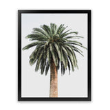 Shop Coconut Palm Tree Photo Art Print-Botanicals, Green, Neutrals, Photography, Portrait, Tropical, View All-framed poster wall decor artwork