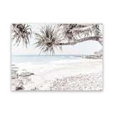 Shop Sunshine Coast Photo Canvas Art Print-Boho, Botanicals, Coastal, Green, Landscape, Photography, Photography Canvas Prints, Tropical, View All, White-framed wall decor artwork