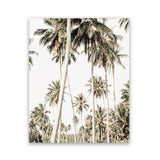 Shop Coconut Palm Plantation Photo Art Print-Boho, Botanicals, Coastal, Green, Photography, Portrait, Tropical, View All-framed poster wall decor artwork