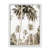 Shop Coconut Palm Plantation Photo Canvas Art Print-Boho, Botanicals, Coastal, Green, Photography, Photography Canvas Prints, Portrait, Tropical, View All-framed wall decor artwork