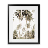 Shop Coconut Palm Plantation Photo Art Print-Boho, Botanicals, Coastal, Green, Photography, Portrait, Tropical, View All-framed poster wall decor artwork
