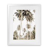 Shop Coconut Palm Plantation Photo Art Print-Boho, Botanicals, Coastal, Green, Photography, Portrait, Tropical, View All-framed poster wall decor artwork