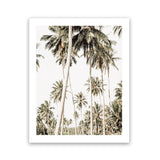 Shop Coconut Palm Plantation Photo Art Print-Boho, Botanicals, Coastal, Green, Photography, Portrait, Tropical, View All-framed poster wall decor artwork