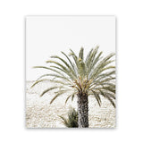 Shop Vacation Palm Photo Art Print-Boho, Botanicals, Coastal, Green, Moroccan Days, Photography, Portrait, Tropical, View All-framed poster wall decor artwork