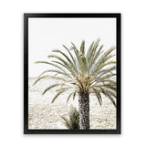 Shop Vacation Palm Photo Art Print-Boho, Botanicals, Coastal, Green, Moroccan Days, Photography, Portrait, Tropical, View All-framed poster wall decor artwork