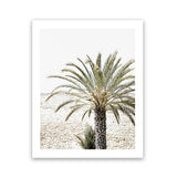 Shop Vacation Palm Photo Art Print-Boho, Botanicals, Coastal, Green, Moroccan Days, Photography, Portrait, Tropical, View All-framed poster wall decor artwork