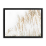 Shop Pampas Grass Reeds Photo Canvas Art Print-Boho, Botanicals, Coastal, Landscape, Neutrals, Photography, Photography Canvas Prints, View All-framed wall decor artwork