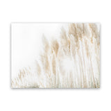 Shop Pampas Grass Reeds Photo Canvas Art Print-Boho, Botanicals, Coastal, Landscape, Neutrals, Photography, Photography Canvas Prints, View All-framed wall decor artwork