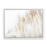 Shop Pampas Grass Reeds Photo Canvas Art Print-Boho, Botanicals, Coastal, Landscape, Neutrals, Photography, Photography Canvas Prints, View All-framed wall decor artwork