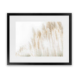 Shop Pampas Grass Reeds Photo Art Print-Boho, Botanicals, Coastal, Hamptons, Landscape, Neutrals, Photography, Tropical, View All-framed poster wall decor artwork