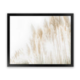 Shop Pampas Grass Reeds Photo Art Print-Boho, Botanicals, Coastal, Hamptons, Landscape, Neutrals, Photography, Tropical, View All-framed poster wall decor artwork