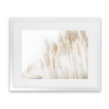 Shop Pampas Grass Reeds Photo Art Print-Boho, Botanicals, Coastal, Hamptons, Landscape, Neutrals, Photography, Tropical, View All-framed poster wall decor artwork
